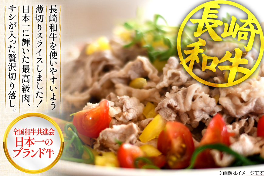 牛肉 切り落とし 定期便 長崎和牛 切り落し600g 2回 総計1200g [大川ストアー 長崎県 東彼杵町 hs42bag580011] 肉 牛肉 和牛 焼肉