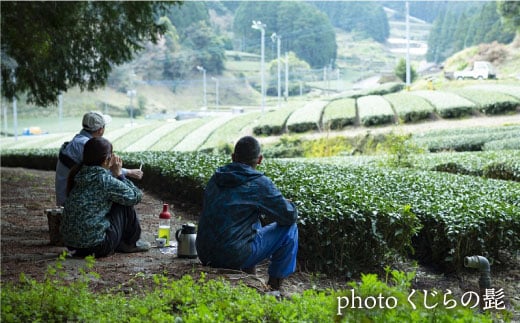 そのぎ茶 贅沢飲み比べセット (萌90g/啓90g/ティーバッグ3g×12個) 茶 ちゃ お茶 おちゃ 緑茶 りょくちゃ 日本茶 茶葉 東彼杵町/中里茶農園 [BCH001] 