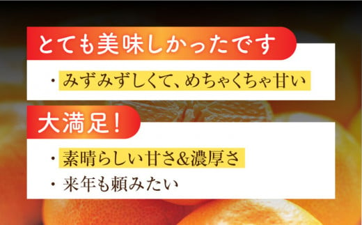 【人気返礼品が復活】【限定20セット追加】山田さん家の濃厚！露地不知火(約5kg) デコポン でこぽん 不知火 しらぬい 柑橘 みかん  東彼杵/山田 [BBM003]