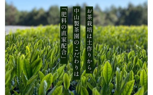 お茶 緑茶 【第73回全国茶品評会 蒸し製玉緑茶 農林水産大臣賞受賞】そのぎ茶（特上）華の香 100g 1袋 総計100g [中山製茶園 長崎県 東彼杵町 hs42bag620003] 茶 ちゃ お茶 おちゃ 緑茶 りょくちゃ 日本茶 茶葉