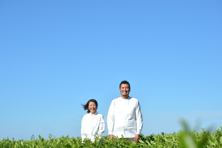 そのぎ茶 特上茶 大河の掬 90g 2本 美の掬 90g 1本 計3本 [おのうえ茶園 長崎県 東彼杵町 hs42bag740004] 茶 お茶 緑茶 日本茶 そのぎ茶 茶葉 国産