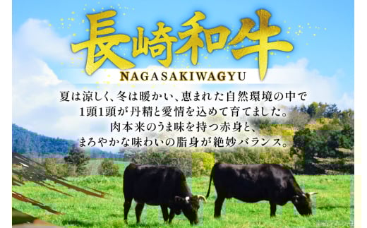 牛肉 和牛 定期便 長崎和牛 焼肉 赤身 500g 3回 総計1.5kg 焼き肉 やきにく [彼杵の荘 長崎県 東彼杵町 hs42bag270026] 赤身 赤身肉 赤み あかみ 肉 お肉 牛肉 国産 和牛 黒毛和牛 冷凍 スライス 薄切り