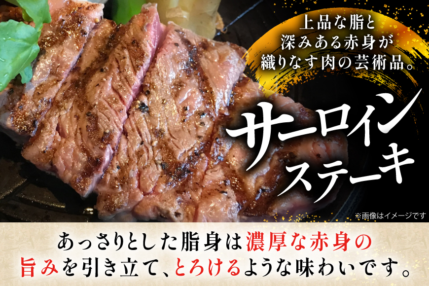 牛肉 長崎和牛 サーロイン ステーキ 250g 2枚 500g [黒牛 長崎県 東彼杵町 hs42bag750029] 霜降り 赤身肉 ステーキ サーロイン