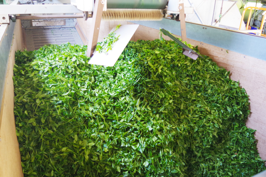 お茶 緑茶 茶葉 そのぎ茶 「澄」「晴」 100g 2本 [尾上製茶 長崎県 東彼杵町 hs42beb820000] 茶 日本茶 国産 新茶 飲料 飲み物 飲みもの カテキン 抗酸化 家庭用 セット 飲み比べ
