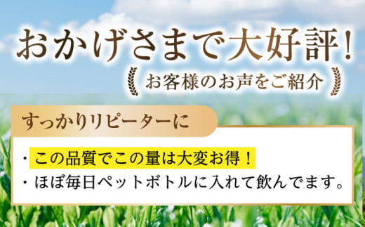 【TVで紹介！】最上級茶葉使用 そのぎ抹茶 計500g（100g×5パック） 茶 お茶 抹茶 緑茶 日本茶 東彼杵町/FORTHEES [BBY002]