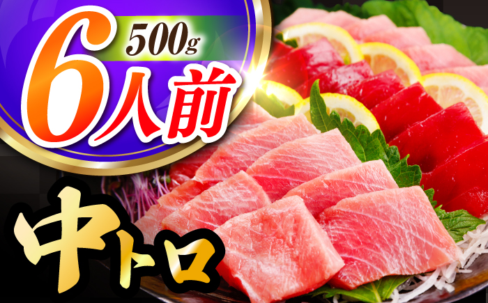 長崎県産 本マグロ「中トロ」(約500g) 中とろ マグロ まぐろ 鮪 マグロ刺身 ブロック トロ 刺身 さしみ 刺し身 冷凍 東彼杵町/大村湾漁業協同組合 [BAK036]