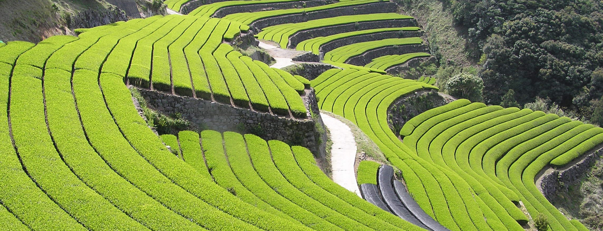 長崎県東彼杵町