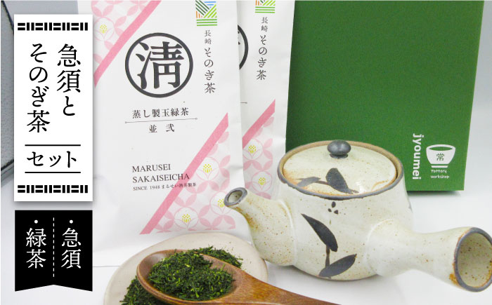 急須とそのぎ茶セット (急須×1・緑茶 100g×2) 茶 お茶 緑茶 日本茶 茶葉 東彼杵町/常明窯 [BCX003]