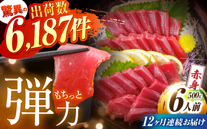 【全12回定期便(月1回)】長崎県産 本マグロ 赤身 500g まぐろ 鮪 さしみ 刺身 刺し身 冷凍 東彼杵町/大村湾漁業協同組合  [BAK024]