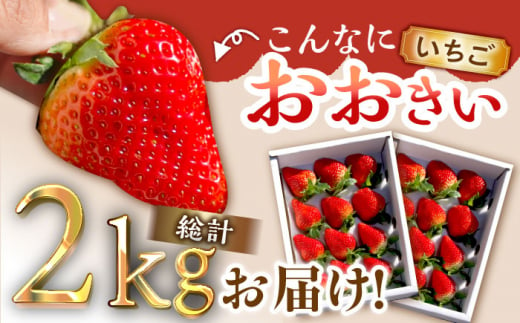 【2回定期便】いちご 計2kg ゆめのか ふるさと納税いちご いちご イチゴ 苺 ゆめのか 産地直送 いちご 定期便 東彼杵町/ファーミライズ株式会社 [BBL005]