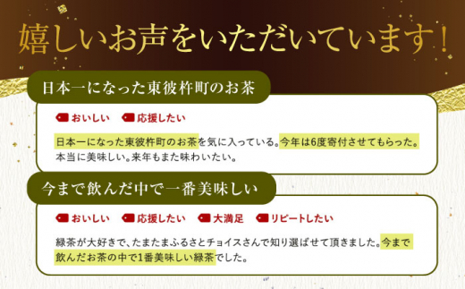 【TVで紹介！】そのぎ茶 (特上) 100g×3袋入り 茶 ちゃ お茶 おちゃ 緑茶 りょくちゃ 日本茶 茶葉 東彼杵町/ふくだ園 [BBC001] 