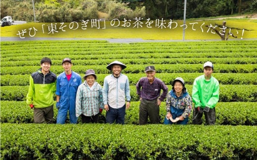 そのぎ茶《茶縁》「つゆひかり」100g×2袋入り 茶 ちゃ お茶 おちゃ 緑茶 りょくちゃ 日本茶 茶葉 東彼杵町/東坂こくまる商店 [BCL002] 