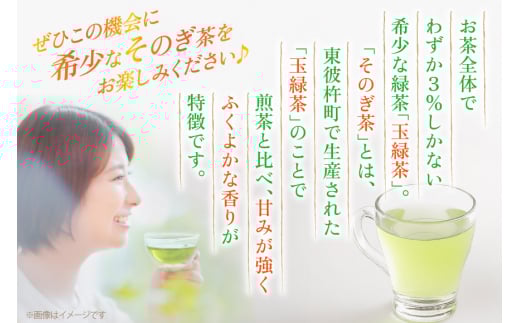 茶 お茶 緑茶 長崎 そのぎ茶 定期便 隔月 彼杵茶 玉緑茶 アルミボトル 490ml 24本 総計144本 6回 [彼杵の荘 長崎県 東彼杵町 hs42bag270019] 2か月に1回 ペットボトル 約 500ml 500