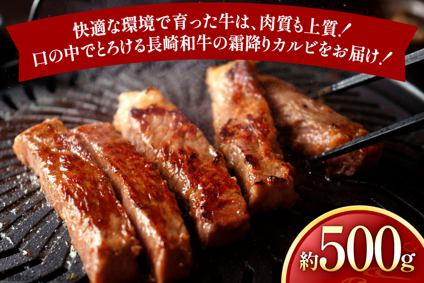 牛肉 和牛 長崎和牛 焼肉用 カルビ 約500g [黒牛 長崎県 東彼杵町 hs42bag750087] 牛肉 カルビ かるび 焼き肉 焼肉 BBQ バーベキュー