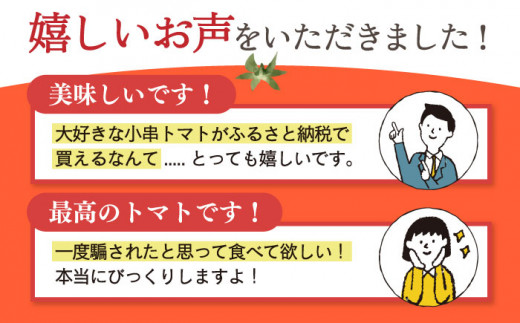 【先行受付】小串トマト 約1kg（8個〜13個程度）【グリーン東彼新鮮市場】[OAE001] / 小串トマト とまと 濃厚トマト 人気とまと 川棚トマト 野菜 サラダ 健康野菜 ビタミン  日本一の称号 川棚町のブランドトマト
