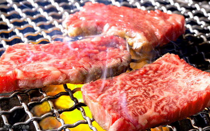 【12回定期便】長崎和牛 焼肉用部位×12回定期便【株式会社 黒牛】 [OCE111]