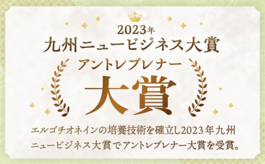 【6回定期便】お米と米糀だけで作った生きた酵素！ さきちの『生あまざけ』ファミリーサイズ 550ｇ×6本【株式会社 咲吉】[OBF019]