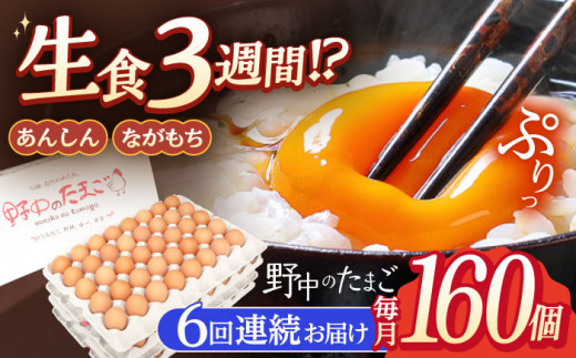 【6回定期便】産みたて新鮮卵 野中のたまご  160個×6回 計960個【野中鶏卵】[OAC011] / 卵 長持ち 濃厚 玉子 濃厚 卵料理 タマゴ 鶏卵 オムレツ 卵かけご飯 卵焼き 