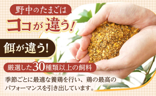 【3回定期便】産みたて新鮮卵 野中のたまご  40個×3回 計120個【野中鶏卵】[OAC004] / 卵 長持ち 濃厚 玉子 濃厚 卵料理 タマゴ 鶏卵 オムレツ 卵かけご飯 卵焼き 