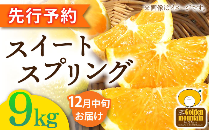 【先行予約】長崎県産 スイートスプリング 9kg 【Mt.Gファーム】[OCX001] / 柑橘 みかん 八朔 はっさく 上田温州みかん スイートスプリング かんきつ 蜜柑 ミカン