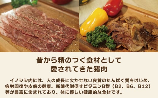 ジビエ 天然イノシシ肉 おまかせ焼肉セット 900g （ロース・モモ・バラ）【照本食肉加工所】[OAJ005] / 猪 猪肉 いのしし肉 イノシシ イノシシ肉 ジビエ いのしし 長崎県猪 川棚町産猪 ぼたん鍋用いのしし 九州産イノシシ じびえ ジビエ ジビエ肉