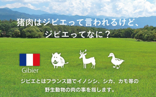 【6回定期便】ジビエ 天然イノシシ肉 バラ肉スライス 500g【照本食肉加工所】[OAJ041] / 猪 猪肉 いのしし肉 イノシシ イノシシ肉 ジビエ いのしし 長崎県猪 川棚町産猪 ぼたん鍋用いのしし 九州産イノシシ じびえ ジビエ ジビエ肉