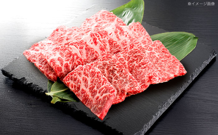 【3回定期便】長崎和牛 焼肉用 赤身スライス600g (モモ・ウデ 各300g)【株式会社 黒牛】 [OCE097]