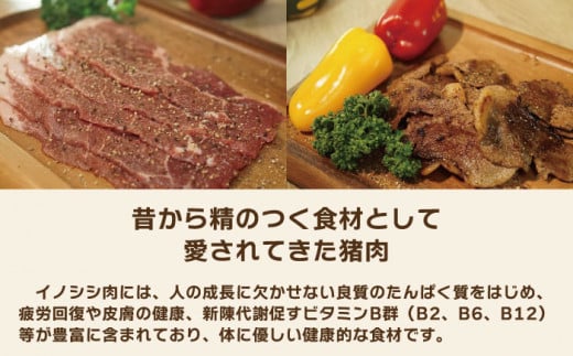 【6回定期便】ジビエ 天然イノシシ肉 おまかせ焼肉セット 1.2kg （ロース・モモ・バラ）【照本食肉加工所】[OAJ035] / 猪 猪肉 いのしし肉 イノシシ イノシシ肉 ジビエ いのしし 長崎県猪 川棚町産猪 ぼたん鍋用いのしし 九州産イノシシ じびえ ジビエ ジビエ肉