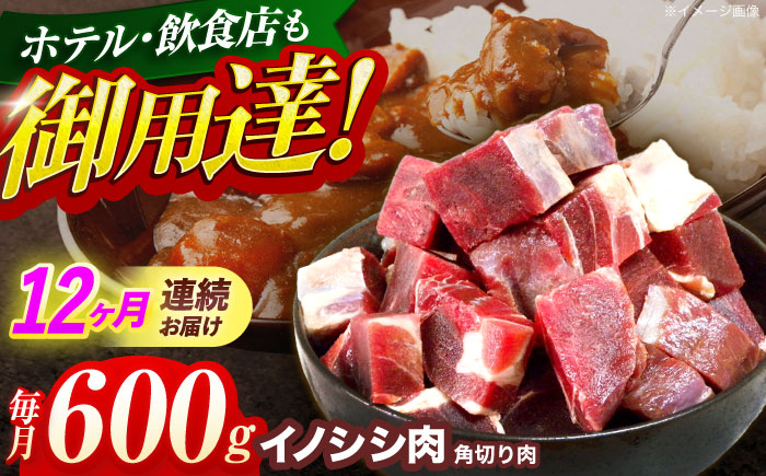 【12回定期便】ジビエ 天然イノシシ肉 角切り肉 600g（カレー・シチュー）【照本食肉加工所】 [OAJ046] / 肉 猪 猪肉 イノシシ イノシシ肉 いのしし しし肉 しし鍋 ボタン鍋 ジビエ