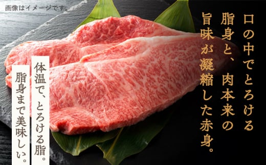 【数量限定】【川棚町で育った】長崎和牛 スライス 焼肉 鉄板焼 1ｋg 【川下精肉店】 [OAA015] / 牛肉 冷凍 鉄板焼 長崎県産 和牛 国産牛 焼肉 BBQ にく 肉 すらいす 切り落とし セット 詰合わせ