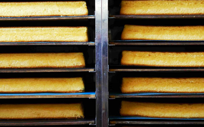 幸せのカステラ個包装BOX 10個セット（プレーン5個、抹茶5個）【長崎心泉堂】[OBS003] / カステラ かすてら 長崎 プレゼント ギフト 詰め合わせ 和菓子 常温 かすてら 個包装 詰め合わせ 高級 贈答 食べ比べ 抹茶 まっちゃ