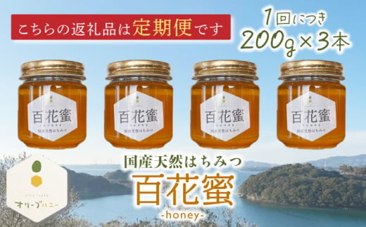 【3回定期便】百花蜜 国産天然はちみつ 200g × 3本〈嬉しい贈答箱入り！〉【オリーブハニー】[OCG006] / はちみつ 蜂蜜 ハチミツ 百花蜜 国産はちみつ 百花蜜 長崎県産蜂蜜 川棚町ハチミツ