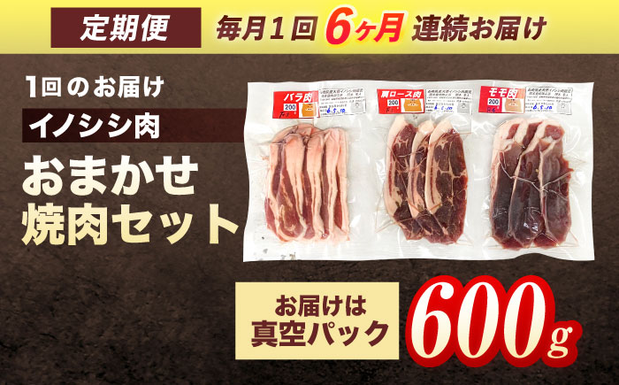 【6回定期便】ジビエ 天然イノシシ肉 おまかせ焼肉セット 600g （ロース・モモ・バラ）【照本食肉加工所】 [OAJ029] / 肉 猪 猪肉 イノシシ イノシシ肉 いのしし しし肉 しし鍋 ボタン鍋 ジビエ