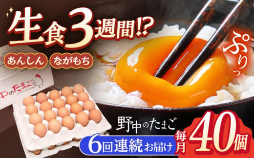 【6回定期便】産みたて新鮮卵 野中のたまご  40個×6回 計240個【野中鶏卵】[OAC005] / 卵 長持ち 濃厚 玉子 濃厚 卵料理 タマゴ 鶏卵 オムレツ 卵かけご飯 卵焼き 