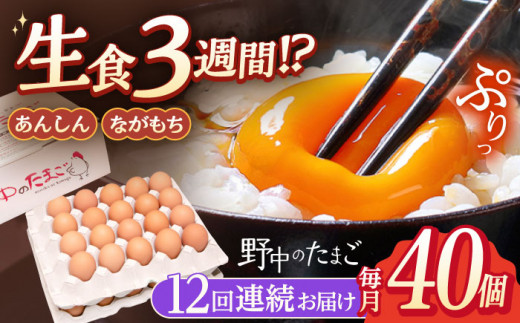 【12回定期便】産みたて新鮮卵 野中のたまご  40個×12回 計480個【野中鶏卵】[OAC006] / 卵 長持ち 濃厚 玉子 濃厚 卵料理 タマゴ 鶏卵 オムレツ 卵かけご飯 卵焼き 