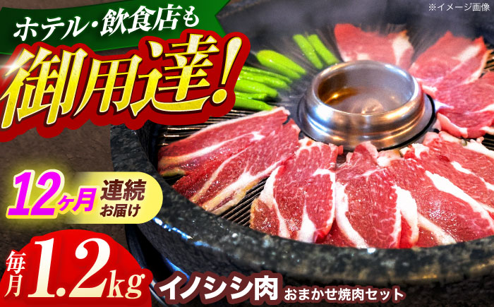 【12回定期便】ジビエ 天然イノシシ肉 おまかせ焼肉セット 1.2kg （ロース・モモ・バラ）【照本食肉加工所】 [OAJ036] / 肉 猪 猪肉 イノシシ イノシシ肉 いのしし しし肉 しし鍋 ボタン鍋 ジビエ