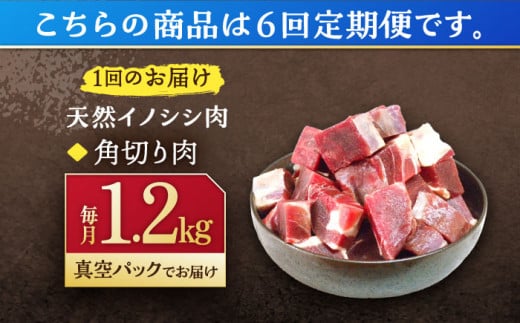 【6回定期便】ジビエ 天然イノシシ肉 角切り肉 1.2kg（カレー・シチュー）【照本食肉加工所】[OAJ065] / 猪 猪肉 いのしし肉 イノシシ イノシシ肉 ジビエ いのしし 長崎県猪 川棚町産猪 ぼたん鍋用いのしし 九州産イノシシ じびえ ジビエ ジビエ肉