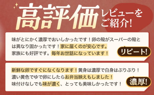 産みたて新鮮卵 野中のたまご  40個【野中鶏卵】[OAC001] / たまご 卵 長持ち 濃厚 玉子 卵料理 タマゴ 鶏卵 オムレツ 卵かけご飯 卵焼き たまご 大容量 