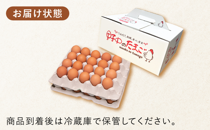 平飼い もみじ の 高級 たまご 40個 ※12月発送なし【野中鶏卵】 [OAC013]