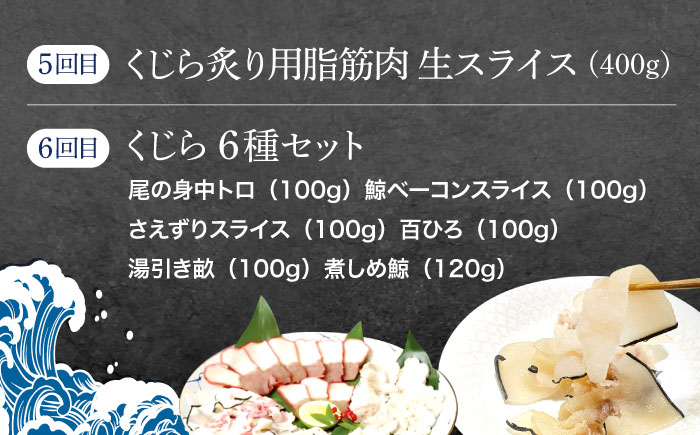 【6回定期便】贅沢三昧くじら食べ比べ定期便【中島(鯨)商店】[OBR014] / 鯨 クジラ 鯨肉 贈答用 くじら おつまみくじら 鯨肉 くじらの希少部位 鯨希少部位 くじらおつまみ 鯨 くじら 長崎県産