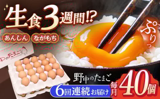 【6回定期便】産みたて新鮮卵 野中のたまご  40個×6回 計240個【野中鶏卵】[OAC005] / 卵 長持ち 濃厚 玉子 濃厚 卵料理 タマゴ 鶏卵 オムレツ 卵かけご飯 卵焼き