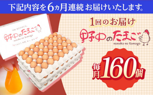 【6回定期便】産みたて新鮮卵 野中のたまご  160個×6回 計960個【野中鶏卵】[OAC011] / 卵 長持ち 濃厚 玉子 濃厚 卵料理 タマゴ 鶏卵 オムレツ 卵かけご飯 卵焼き 