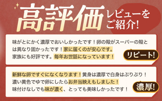 【6回定期便】産みたて新鮮卵 野中のたまご  160個×6回 計960個【野中鶏卵】[OAC011] / 卵 長持ち 濃厚 玉子 濃厚 卵料理 タマゴ 鶏卵 オムレツ 卵かけご飯 卵焼き 