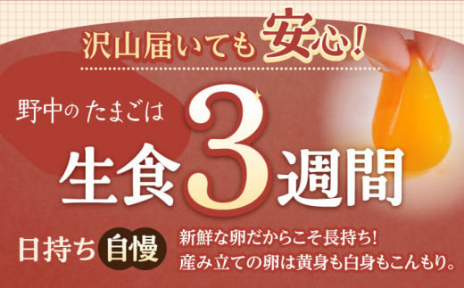 【6回定期便】産みたて新鮮卵 野中のたまご  80個×6回 計480個【野中鶏卵】[OAC008] / 卵 長持ち 濃厚 玉子 濃厚 卵料理 タマゴ 鶏卵 オムレツ 卵かけご飯 卵焼き 