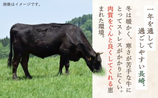 【数量限定】【川棚町で育った】長崎和牛 スライス 焼肉 鉄板焼 1ｋg 【川下精肉店】 [OAA015] / 牛肉 冷凍 鉄板焼 長崎県産 和牛 国産牛 焼肉 BBQ にく 肉 すらいす 切り落とし セット 詰合わせ