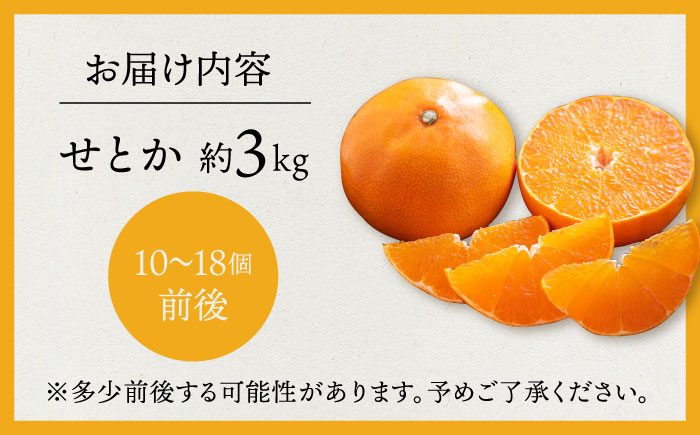 【先行予約】弾力があり甘い！せとか長崎県産 約3kg 【田崎FARM】 [OCU002]