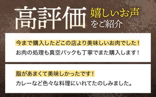 【12回定期便】ジビエ 天然イノシシ肉 角切り肉 600g（カレー・シチュー）【照本食肉加工所】[OAJ046] / 猪 猪肉 いのしし肉 イノシシ イノシシ肉 ジビエ いのしし 長崎県猪 川棚町産猪 ぼたん鍋用いのしし 九州産イノシシ じびえ ジビエ ジビエ肉