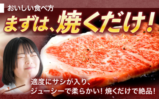 長崎和牛サーロインステーキ 約800g(200g×4枚)【株式会社 黒牛】 [OCE041] / 牛肉 国産牛 肉 すてーき さーろいん