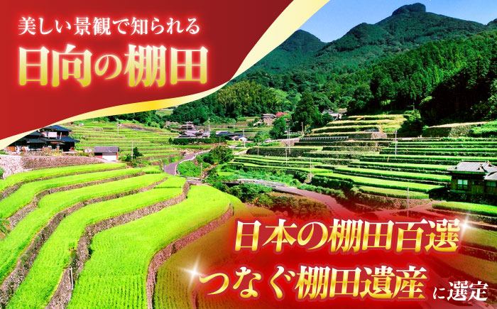 【4回定期便】虚空蔵の清流水で育った棚田米『ひなた米』 10kg (5kg ×2袋) 【木場中山間管理組合】 [OCM052]