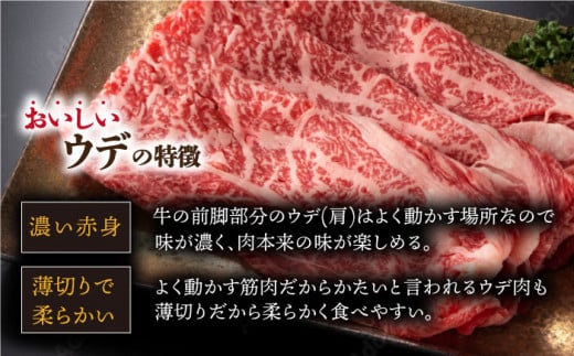 長崎和牛 焼肉用スライス〈ウデ・モモ〉 1kg 冷凍【川下精肉店】 [OAA002] / 牛肉 冷凍 鉄板焼 長崎県産 和牛 国産牛 焼肉 BBQ にく 肉 セット 詰合わせ